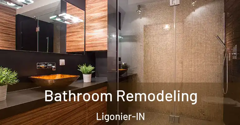 inner Bathroom imggen Bathroom Remodeling Ligonier-IN