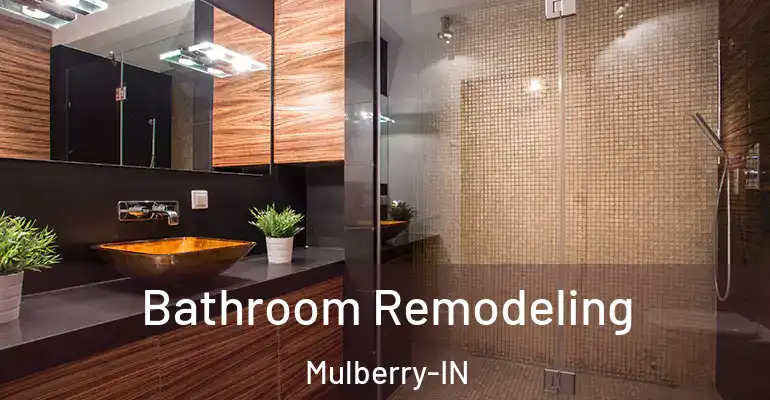 inner Bathroom imggen Bathroom Remodeling Mulberry-IN