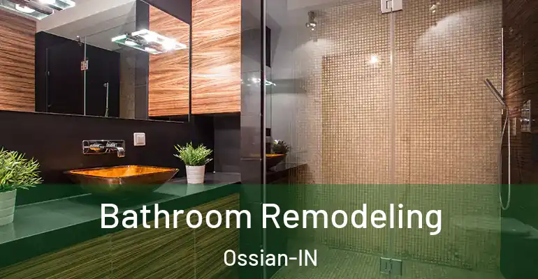 inner Bathroom imggen Bathroom Remodeling Ossian-IN