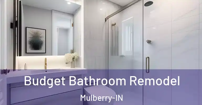 inner Bathroom imggen Budget Bathroom Remodel Mulberry-IN
