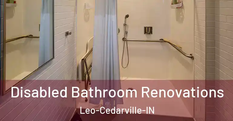 inner Bathroom imggen Disabled Bathroom Renovations Leo-Cedarville-IN
