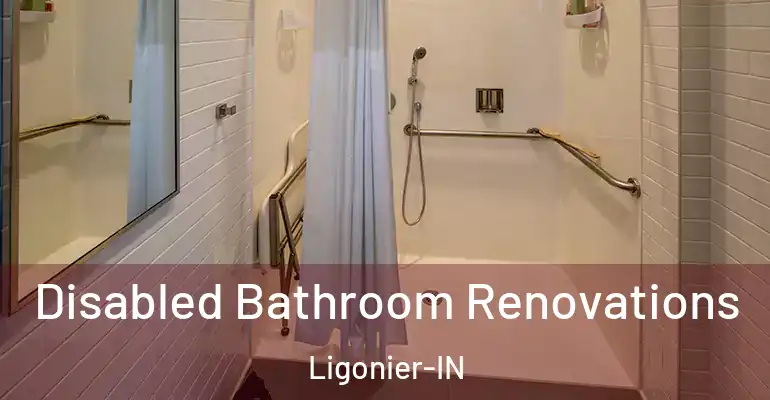 inner Bathroom imggen Disabled Bathroom Renovations Ligonier-IN
