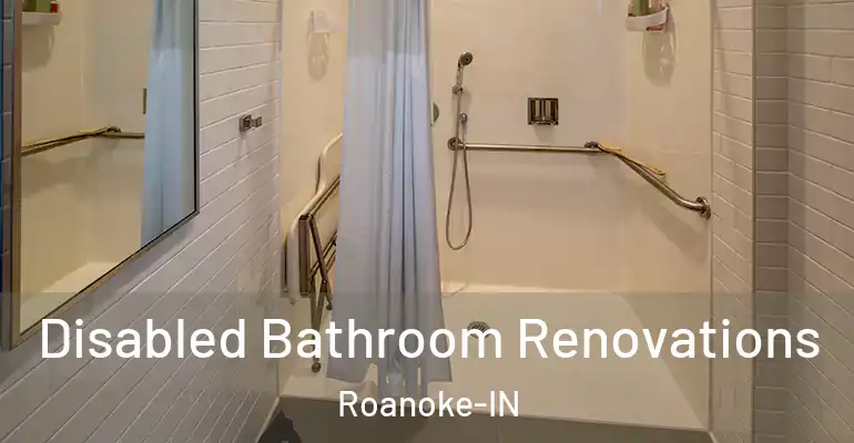 inner Bathroom imggen Disabled Bathroom Renovations Roanoke-IN