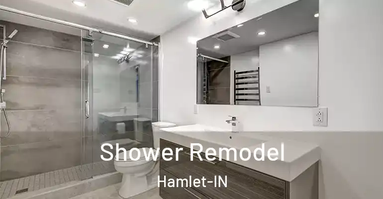 inner Bathroom imggen Shower Remodel Hamlet-IN