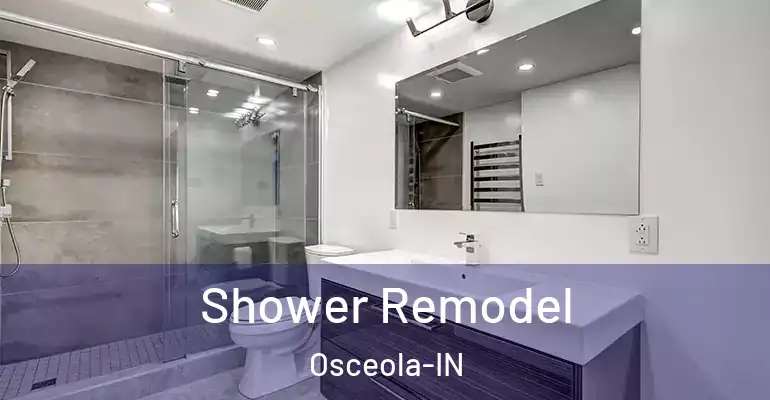 inner Bathroom imggen Shower Remodel Osceola-IN
