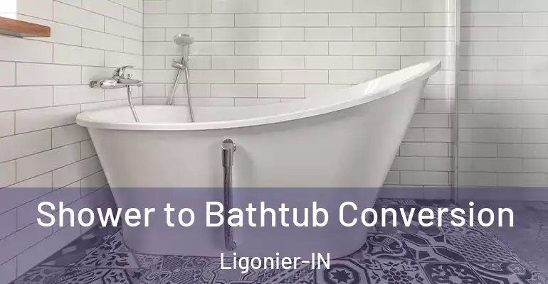inner Bathroom imggen Shower to Bathtub Conversion Ligonier-IN