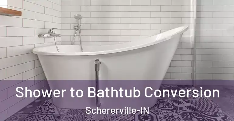 inner Bathroom imggen Shower to Bathtub Conversion Schererville-IN