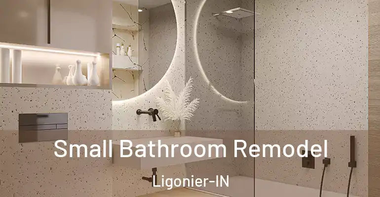 inner Bathroom imggen Small Bathroom Remodel Ligonier-IN