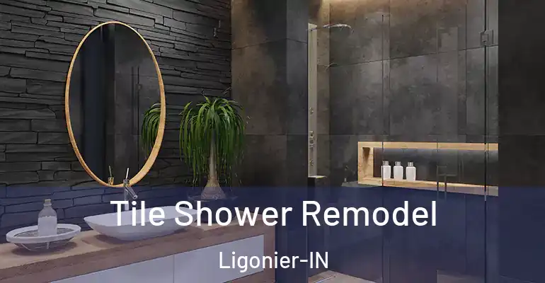 inner Bathroom imggen Tile Shower Remodel Ligonier-IN