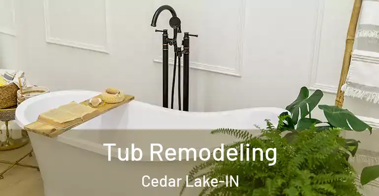 inner Bathroom imggen Tub Remodeling Cedar Lake-IN