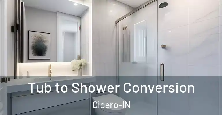 inner Bathroom imggen Tub to Shower Conversion Cicero-IN