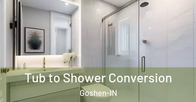 inner Bathroom imggen Tub to Shower Conversion Goshen-IN