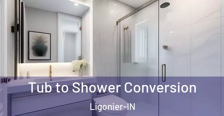 inner Bathroom imggen Tub to Shower Conversion Ligonier-IN