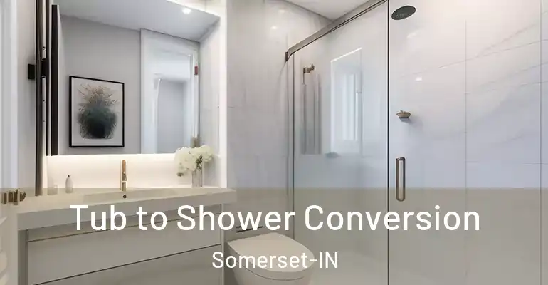 inner Bathroom imggen Tub to Shower Conversion Somerset-IN